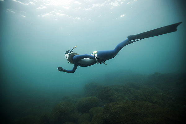 포토 JPG 전신 여자 바다 한명 성인 옆모습 30대 제주도 바닷속 수영 한국인 잠수부 성인여자한명만 수중사진 프리다이빙 국내포토 1 뷰포인트 한국 사람 동양인 장년 수중 수상스포츠 전문직 여자한명만 성인여자만 파일형식