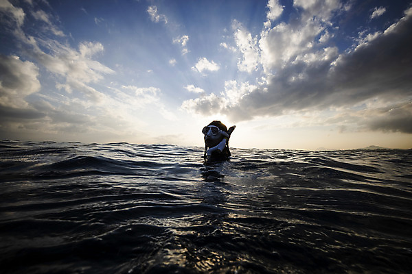 포토 JPG 주간 구름 여자 실루엣 바다 하늘 한명 상반신 성인 야외 앞모습 30대 제주도 수영 일몰 한국인 잠수부 잠수경 성인여자한명만 프리다이빙 국내포토 자연요소 1 뷰포인트 한국 촬영기법 사람 동양인 장년 노을 수상스포츠 전문직 물안경 여자한명만 성인여자만 파일형식
