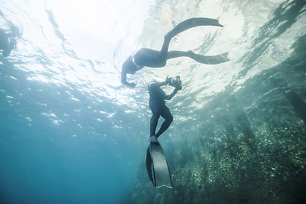 포토 JPG 전신 여자 바다 성인 두명 옆모습 30대 빛 제주도 바닷속 수영 한국인 잠수부 성인여자만 수중사진 프리다이빙 국내포토 뷰포인트 한국 사람 동양인 장년 수중 수상스포츠 전문직 여자만 성인만 파일형식