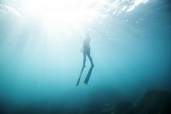 포토 JPG 전신 여자 실루엣 바다 한명 성인 옆모습 30대 빛 제주도 바닷속 수영 한국인 잠수부 성인여자한명만 수중사진 프리다이빙 국내포토 1 뷰포인트 한국 촬영기법 사람 동양인 장년 수중 수상스포츠 전문직 여자한명만 성인여자만 파일형식