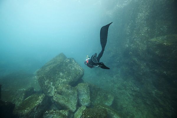 포토 JPG 전신 여자 바다 한명 성인 옆모습 30대 제주도 바닷속 수영 한국인 돌_바위 잠수부 성인여자한명만 수중사진 프리다이빙 국내포토 1 뷰포인트 한국 사람 동양인 장년 수중 수상스포츠 전문직 여자한명만 성인여자만 파일형식