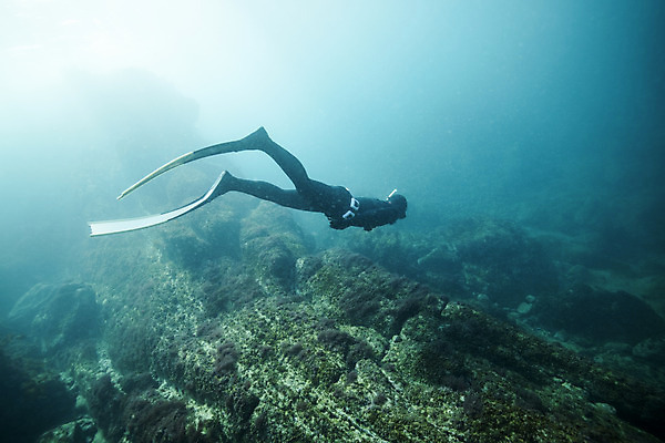 포토 JPG 전신 여자 바다 한명 성인 옆모습 30대 빛 제주도 바닷속 수영 한국인 돌_바위 잠수부 성인여자한명만 수중사진 프리다이빙 국내포토 1 뷰포인트 한국 사람 동양인 장년 수중 수상스포츠 전문직 여자한명만 성인여자만 파일형식