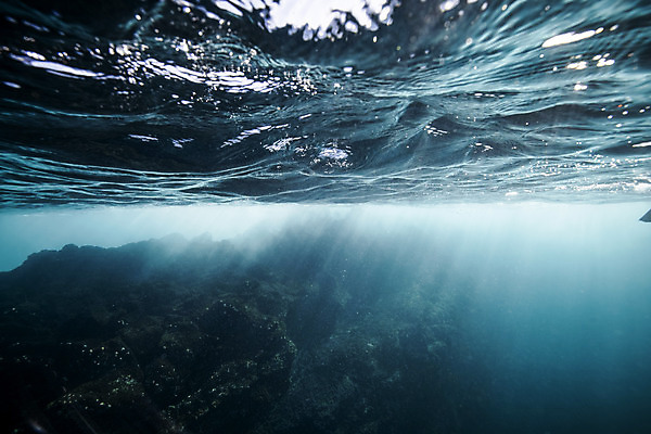 포토 JPG 바다 자연 풍경 사람없음 빛 제주도 바닷속 수중사진 국내포토 한국 수중 생태계 파일형식