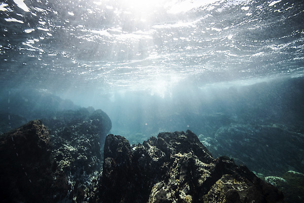 포토 JPG 바다 자연 풍경 사람없음 빛 제주도 바닷속 바위 수중사진 국내포토 한국 수중 돌_바위 생태계 파일형식