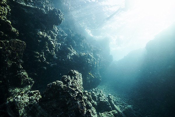 포토 JPG 바다 자연 풍경 사람없음 빛 제주도 바닷속 바위 수중사진 국내포토 한국 수중 돌_바위 생태계 파일형식