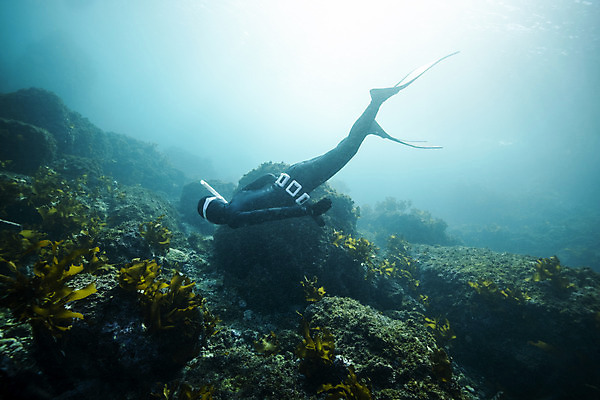 포토 JPG 전신 여자 바다 한명 성인 옆모습 30대 빛 제주도 바닷속 수영 한국인 잠수부 성인여자한명만 수중사진 프리다이빙 국내포토 1 뷰포인트 한국 사람 동양인 장년 수중 수상스포츠 전문직 여자한명만 성인여자만 파일형식