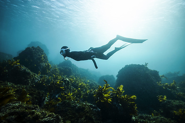 포토 JPG 전신 여자 바다 한명 성인 옆모습 30대 빛 제주도 바닷속 수영 한국인 돌_바위 잠수부 성인여자한명만 수중사진 프리다이빙 국내포토 1 뷰포인트 한국 사람 동양인 장년 수중 수상스포츠 전문직 여자한명만 성인여자만 파일형식