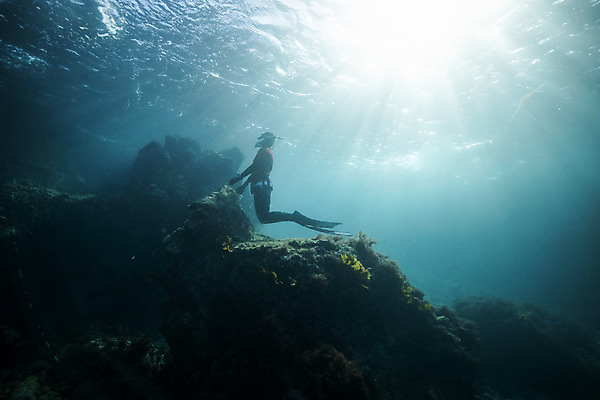 포토 JPG 전신 여자 바다 한명 성인 옆모습 30대 빛 제주도 바닷속 한국인 잠수부 성인여자한명만 수중사진 프리다이빙 국내포토 1 뷰포인트 한국 사람 동양인 장년 수중 수상스포츠 전문직 여자한명만 성인여자만 파일형식