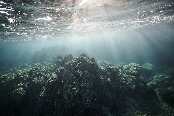 포토 JPG 바다 자연 풍경 사람없음 제주도 바닷속 바위 수중사진 국내포토 한국 수중 돌_바위 생태계 파일형식