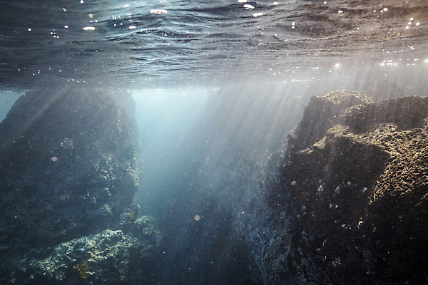 포토 JPG 바다 자연 풍경 사람없음 제주도 바닷속 바위 수중사진 국내포토 한국 수중 돌_바위 생태계 파일형식