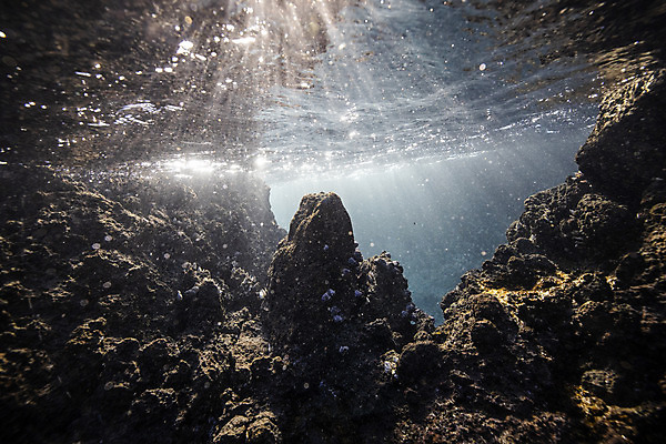 포토 JPG 바다 자연 풍경 사람없음 제주도 바닷속 바위 수중사진 국내포토 한국 수중 돌_바위 생태계 파일형식