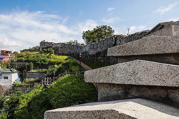 포토 JPG 주간 하늘 서울 풍경 사람없음 야외 성벽 국내여행 성곽길 낙산공원 국내포토 자연요소 공원 길 여행 한국 파일형식