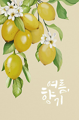PSD 꽃 잎 일러스트 여름음식 타이포그라피 사람없음 여름 레몬 제철 제철과일 국내일러스트 식물 문자 계절 음식 과일 파일형식 여름_계절