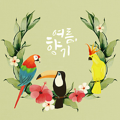 PSD 꽃 일러스트 나뭇잎 세마리 타이포그라피 사람없음 여름 앵무새 토코투칸 국내일러스트 식물 문자 계절 잎 조류 3 파일형식