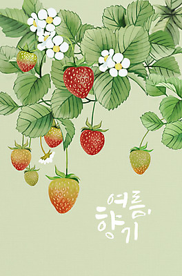 PSD 일러스트 딸기 여름음식 타이포그라피 사람없음 여름 딸기꽃 제철 딸기잎 제철과일 국내일러스트 문자 계절 꽃 음식 잎 과일 파일형식 여름_계절