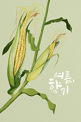 PSD 잎 일러스트 여름음식 옥수수 타이포그라피 사람없음 여름 옥수수껍질 제철음식 국내일러스트 식물 문자 계절 음식 곡류 껍질 제철 파일형식 여름_계절
