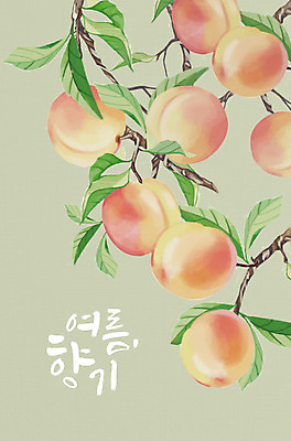 PSD 잎 일러스트 여름음식 타이포그라피 사람없음 여름 나뭇가지 복숭아 제철 제철과일 국내일러스트 나무 식물 문자 계절 음식 과일 파일형식 여름_계절