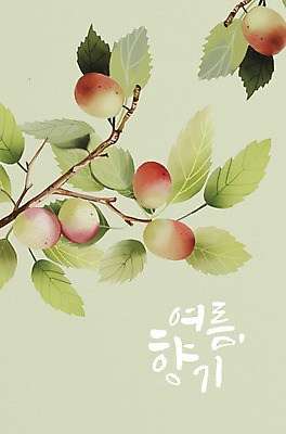 PSD 잎 일러스트 여름음식 타이포그라피 사람없음 여름 나뭇가지 매실 제철 제철과일 국내일러스트 나무 식물 문자 계절 음식 과일 파일형식 여름_계절