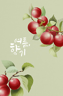 PSD 잎 일러스트 여름음식 타이포그라피 사람없음 여름 나뭇가지 살구 제철 제철과일 국내일러스트 나무 식물 문자 계절 음식 과일 파일형식 여름_계절