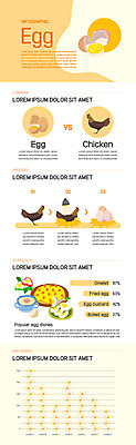 일러스트 그래프 조명 세마리 사람없음 노란색 계란 인포그래픽 닭 둥지 계란프라이 삶은계란 부화 계란찜 오믈렛 국내일러스트 AI파일 컬러 조류 3 알 계란요리 찜 파일형식 벡터