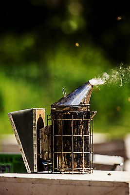 포토 JPG 주간 사람없음 야외 아웃포커스 연기 특산물 양봉 양봉장 울진 국내포토 자연요소 촬영기법 경상북도 파일형식