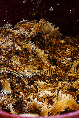 포토 JPG 사람없음 담기 특산물 꿀 벌집 꿀채취 양봉 양봉장 울진 국내포토 모션 경상북도 수집 파일형식