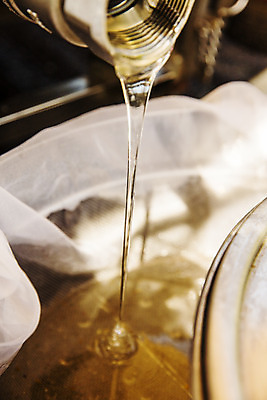 포토 JPG 주간 근접촬영 사람없음 야외 아웃포커스 붓기 특산물 꿀 양봉 양봉장 울진 국내포토 자연요소 뷰포인트 모션 촬영기법 경상북도 파일형식