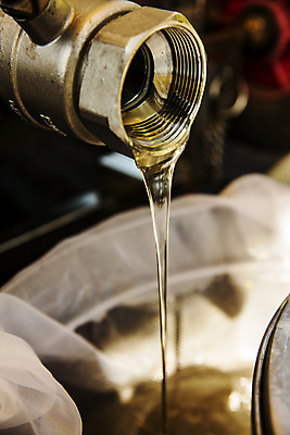 포토 JPG 근접촬영 사람없음 아웃포커스 붓기 특산물 꿀 양봉 양봉장 울진 국내포토 뷰포인트 모션 촬영기법 경상북도 파일형식