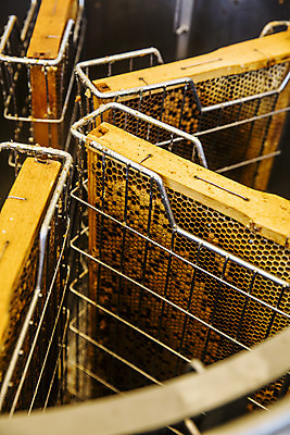 포토 JPG 사람없음 특산물 꿀 벌집 꿀채취 양봉 양봉장 울진 국내포토 경상북도 수집 파일형식