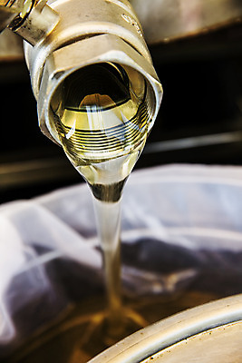 포토 JPG 근접촬영 사람없음 아웃포커스 붓기 특산물 꿀 꿀채취 양봉 양봉장 울진 국내포토 뷰포인트 모션 촬영기법 경상북도 수집 파일형식