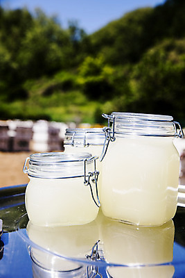 포토 JPG 주간 사람없음 야외 아웃포커스 특산물 꿀 아카시아 꿀단지 양봉 양봉장 울진 국내포토 자연요소 나무 촬영기법 경상북도 파일형식