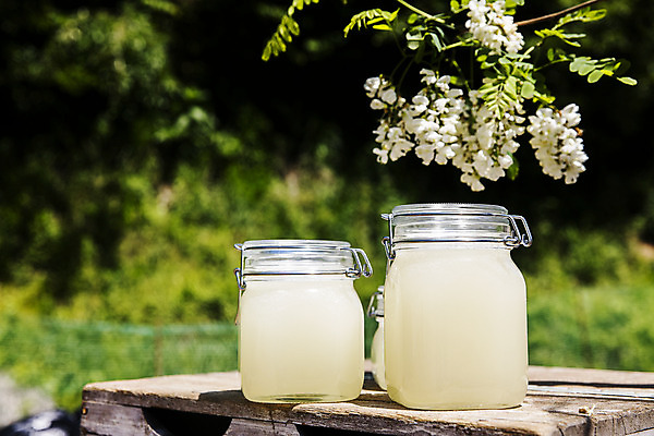 포토 JPG 주간 사람없음 야외 아웃포커스 특산물 꿀 아카시아 꿀단지 양봉 양봉장 울진 국내포토 자연요소 나무 촬영기법 경상북도 파일형식