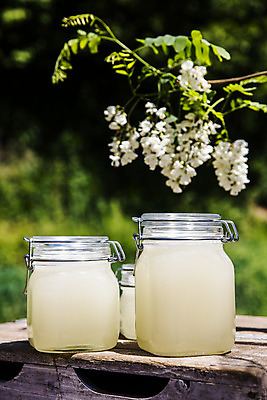 포토 JPG 주간 사람없음 야외 아웃포커스 특산물 꿀 아카시아 꿀단지 양봉 양봉장 울진 국내포토 자연요소 나무 촬영기법 경상북도 파일형식