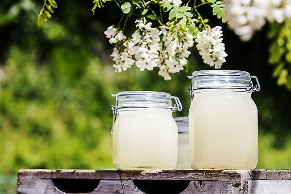 포토 JPG 주간 사람없음 야외 아웃포커스 특산물 꿀 아카시아 꿀단지 양봉 양봉장 울진 국내포토 자연요소 나무 촬영기법 경상북도 파일형식
