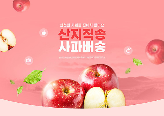 PSD 편집이미지 분홍색 단면 나뭇잎 타이포그라피 사람없음 신선 사과 배송 슬라이스 산지직송 로컬푸드 이미지편집 문자 컬러 잎 과일 농산물 파일형식 직송
