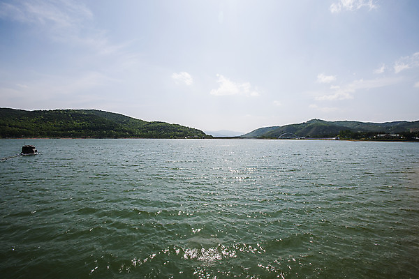 포토 JPG 주간 나무 하늘 산 풍경 사람없음 야외 경주 경상북도 보문호 국내포토 자연요소 식물 호수 경주_경상북도 경상도 파일형식