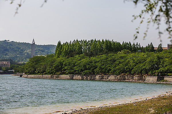 포토 JPG 주간 나무 하늘 산 풍경 사람없음 야외 경주 경상북도 보문호 국내포토 자연요소 식물 호수 경주_경상북도 경상도 파일형식