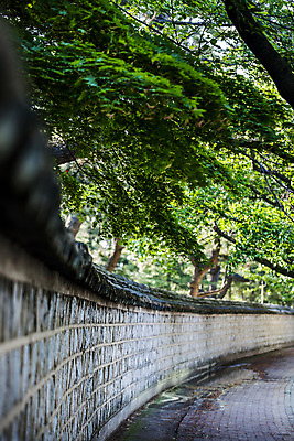 포토 JPG 주간 풍경 사람없음 야외 경주 소나무 경상북도 돌담길 대릉원 국내포토 자연요소 나무 길 돌담 경주_경상북도 경상도 파일형식