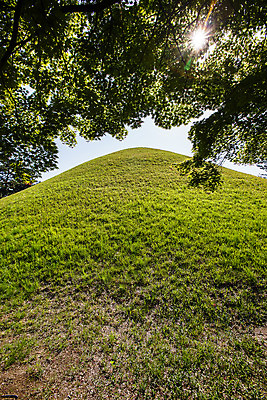포토 JPG 주간 나무 풍경 사람없음 야외 햇빛 경주 경상북도 고분 대릉원 국내포토 자연요소 식물 태양 경주_경상북도 무덤 경상도 파일형식