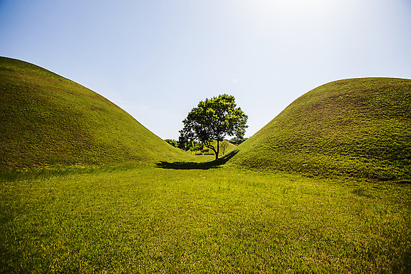 포토 JPG 주간 나무 하늘 풍경 사람없음 야외 경주 경상북도 고분 대릉원 국내포토 자연요소 식물 경주_경상북도 무덤 경상도 파일형식