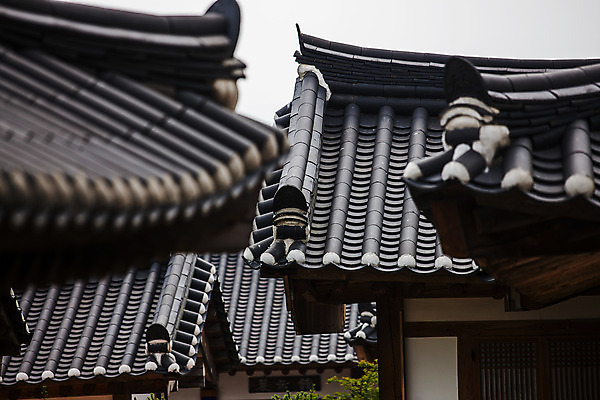 포토 JPG 주간 한옥 풍경 사람없음 야외 아웃포커스 경주 경상북도 기와지붕 국내포토 자연요소 한국전통 고건축 지붕 촬영기법 기와 경상도 파일형식