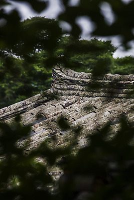 포토 JPG 주간 나무 한옥 풍경 사람없음 야외 경주 소프트포커스 경상북도 기와지붕 국내포토 자연요소 식물 한국전통 고건축 지붕 촬영기법 기와 경상도 파일형식