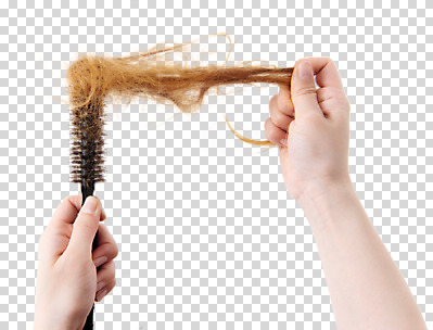 편집 편집이미지 손 들기 누끼 신체부위 뷰티 머리카락 머리빗 헤어관리 PNG 탈모 편집소스 모션 사람 머리 미용용품 증상 파일형식