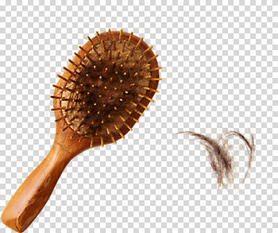 편집 편집이미지 누끼 사람없음 뷰티 머리카락 머리빗 헤어관리 PNG 탈모 편집소스 머리 미용용품 증상 파일형식