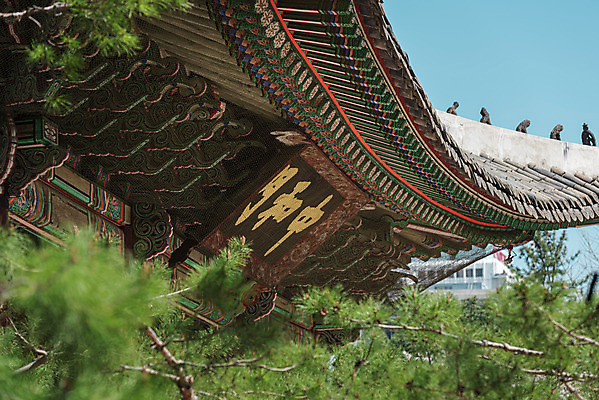 포토 JPG 주간 서울 사람없음 야외 관광지 봄풍경 문화재 소나무 소프트포커스 덕수궁 중화문 현판 국내포토 자연요소 나무 여행 한국 촬영기법 풍경 봄 궁전 파일형식