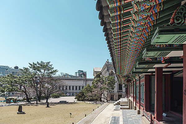 포토 JPG 주간 하늘 서울 사람없음 야외 관광지 봄풍경 문화재 처마 덕수궁 국내포토 자연요소 여행 한국 풍경 봄 궁전 파일형식