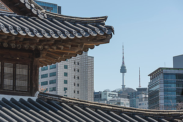 포토 JPG 주간 서울 사람없음 야외 건물 관광지 봄풍경 문화재 기와지붕 남산타워 덕수궁 국내포토 자연요소 건축물 여행 지붕 한국 기와 풍경 봄 궁전 남산 파일형식