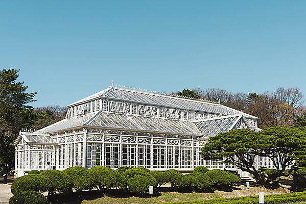 포토 JPG 주간 나무 하늘 서울 사람없음 야외 관광지 봄풍경 문화재 온실 창경궁 국내포토 자연요소 식물 여행 한국 풍경 봄 궁전 파일형식