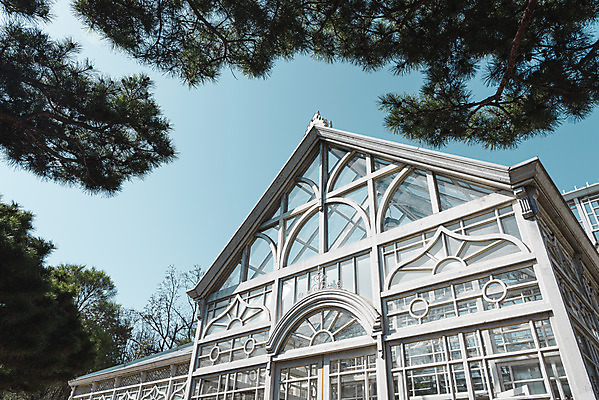 포토 JPG 주간 로우앵글 나뭇잎 서울 사람없음 야외 관광지 봄풍경 문화재 온실 창경궁 국내포토 자연요소 뷰포인트 여행 잎 한국 풍경 봄 궁전 파일형식