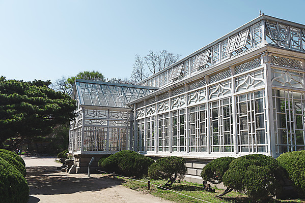 포토 JPG 주간 하늘 서울 사람없음 야외 관광지 봄풍경 문화재 온실 창경궁 국내포토 자연요소 여행 한국 풍경 봄 궁전 파일형식